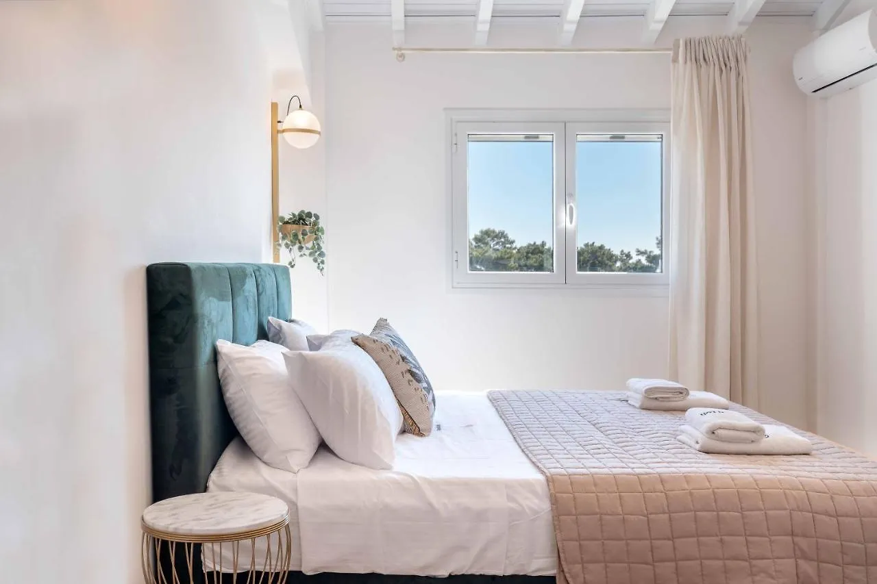 Grouzi Loft Apartment Skala   Skala (Kefalonia)