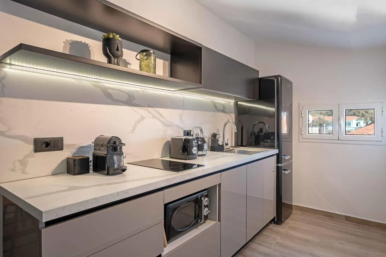 Grouzi Loft Apartment Skala